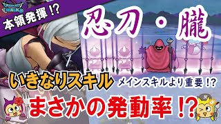 【ドラクエウォーク】#738・忍刀・朧のいきなりスキルが超優秀か!火力よりも影縫い・影縛りの発動確率の上昇が今後有利に展開するかも!「ふぉーくちゃんねる」