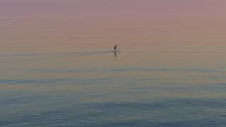 The Paddleboarder and the Fisherman (4K)