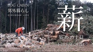 Collecting Firewood in Nature! A Serene Moment with Beautiful Birds