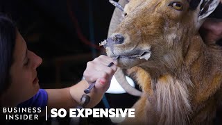 Inside Texas’s $2 Billion Exotic Animal Hunting Industry | So Expensive