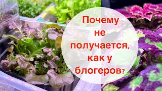 ФИТОЛАМПЫ - обман продавцов? Как выбрать правильную фитолампу для зимнего огорода