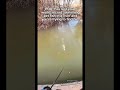 when you lose the fastest swimming pet fish😬 fishing bassfishing shorts viralshorts funny