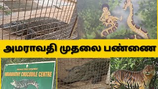 அமராவதி முதலை பண்ணை | Amaravathi Crocodile farm | #Crocodile_farm #epn_entertainment |  #amaravathi