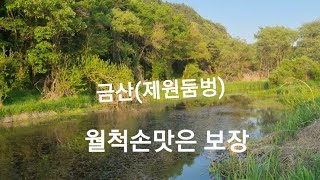 낚시터정보(제원둠벙 월부터 허리급나오기시작)