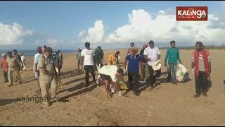 Forest officials join Beach clean-up drive at Odisha's Brahmagiri | Kalinga TV