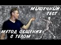 Мышечный тест – метод общения с телом