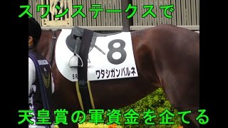 2016・複勝５万円勝負＃48・スワンステークス