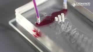 Fabricating a 3-Layered PDMS Microfluidic Device: Father's Day 2024