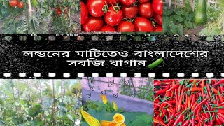 লন্ডনের মাটিতেও বাংলাদেশের সবজি বাগান/ Bangladeshi Vegetables in the UK! 🍠🥒🍅🥬🌶🥔