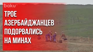 Среди жертв сотрудник ANAMA, пограничник и мирный житель | Baku TV | RU #bakutvru