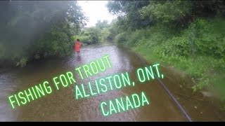 Trout Fishing In Alliston Ontario Canada