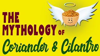 MYTHOLOGY of CORIANDER \u0026 CILANTRO - superstitions \u0026 magical properties