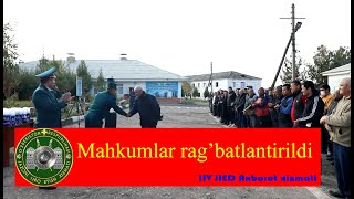 43 son manzil koloniyasida bir qator mahkumlar rag'batlantirildi