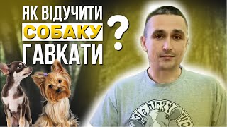 Як відучити собаку гавкати?