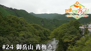 「たまにはプラっと！」　2024年9月13日放送