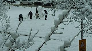 Daily Snowing in Sopron / Napi havazás Sopronban