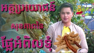 អត្ថប្រយោជន៍សុខភាពនៃផ្លែអំពិលទុំ/ Benefits of Tamarind Fruit/ MC Lawrence Offcial