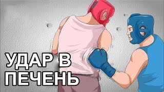 Почему наше тело не может выдержать удар по печени?