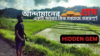 আন্দামানের একটি অনুন্নত কিন্তু সবচেয়ে গুরুত্বপূর্ণ গ্রাম! Village In Andaman Kaushlya Nagar.