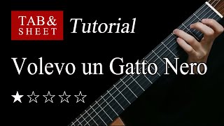 Volevo un Gatto Nero - Fingerstyle Lesson + TAB