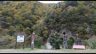 尾瀬国立公園　福島県　南会津　屏風岩　紅葉 4k