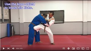 【Kudo Technique】Knee shield