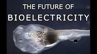 The Future Of Bioelectricity