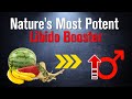 Maca: Nature's Most Powerful Male Libido Booster