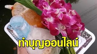 บุญอยู่ที่ใจ! ชาวพุทธนิยมทำบุญออนไลน์ วันมาฆบูชา ผุดธุรกิจรับจ้างใส่บาตร แค่จ่ายเงิน รอดูคลิป