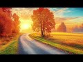 enchanting autumn forests with beautiful piano music🍁4k autumn ambience u0026 fall foliage 39