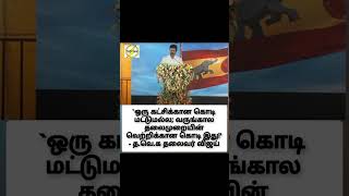 `ஒரு கட்சிக்கான கொடி மட்டுமல்ல; வருங்கால தலைமுறையின் வெற்றிக்கான கொடி இது!' - த.வெ.க தலைவர் விஜய்