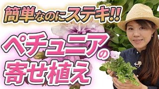 【誰でも簡単!!】ペチュニアを品良くオシャレに！寄せ植えのコツをプロが紹介します！【初心者向け】【ガーデニング】【園芸チャンネル】