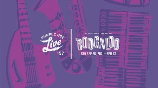 Boogaloo • Purple Bee Live E57