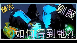 馴服-發光獅鷲怎麼得到?!幾級能抓獅鷲?皇冠作用?!