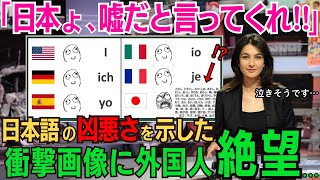 「日本よ、嘘だと言ってくれ！」日本語の凶悪さが世界中で話題に！！漢字圏・中国も驚愕した衝撃画像にコメント殺到してしまう…【海外の反応】