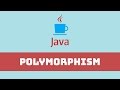 Java Programming Tutorial - Polymorphism and Arrays