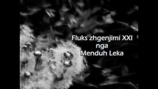 MENDUH LEKA - Fluks Zhgenjimi XXI