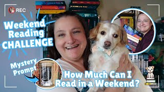 My New Mystery Weekend Reading Challenge! How much unplanned reading can I do??