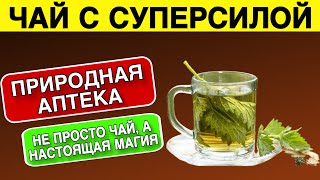 Лечебные ЧАИ, которые стоит Пить каждый день