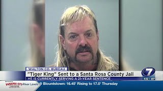 “Tiger King” Joe Exotic back in Santa Rosa County Jail