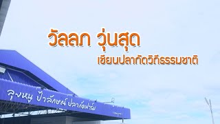 วัลลภ วุ่นสุด เซียนปลากัดวิถีธรรมชาติ