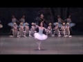 svetlana zakharova dulcynea variation