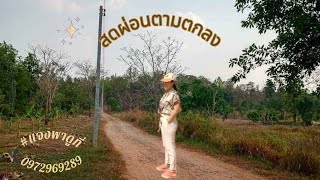 สดผ่อน ตามตกลง #แจงพาดูที่ #อสังหาริมทรัพย์ #ที่ดินชัยภูมิ #ที่ดินราคาถูก