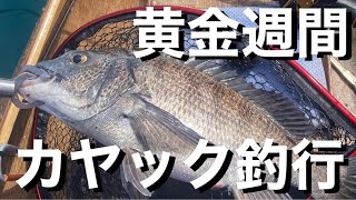 ゴールデンウィークのカヤックフィッシング！その② ようやく釣れた黒鯛！！