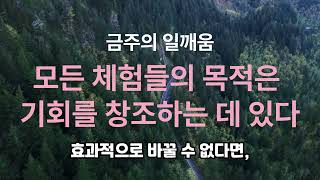 금주의일깨움 모든 체험들의 목적은 기회를 창조하는 데 있다 신과나눈이야기 한국독자모임