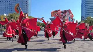 疾風乱舞　よさこい 第23回ドリーム夜さ来い祭り 東京ビッグサイト前