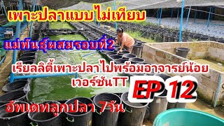 เรียลลิตี้​เพาะ​ปลา​ไป​พร้อม​อาจารย์​น้อย​เวอร์ชัน​TT​ EP12