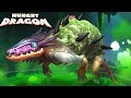 NEW LEGENDARY ARMORDILLO DRAGON!!! - Hungry Dragon Ep22