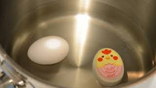 Daiso Egg Timer Review