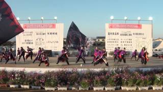 豊里鳴子会 矢紅羅　in　関東ＹＯＳＡＫＯＩそうなん 2013